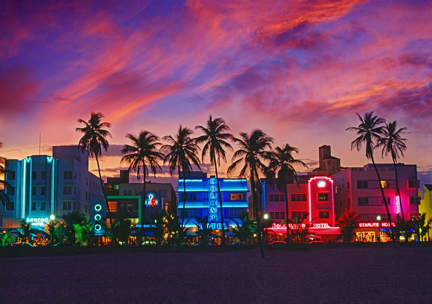 Miami Nightlife: Best Bars, Clubs and Rooftops