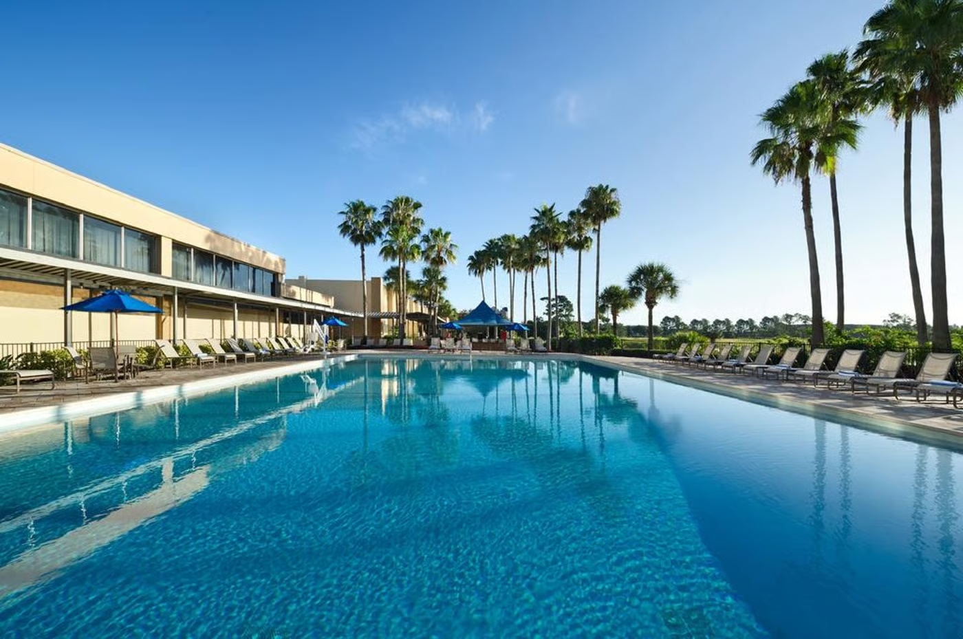Where to Stay in Orlando: Best Areas Explained